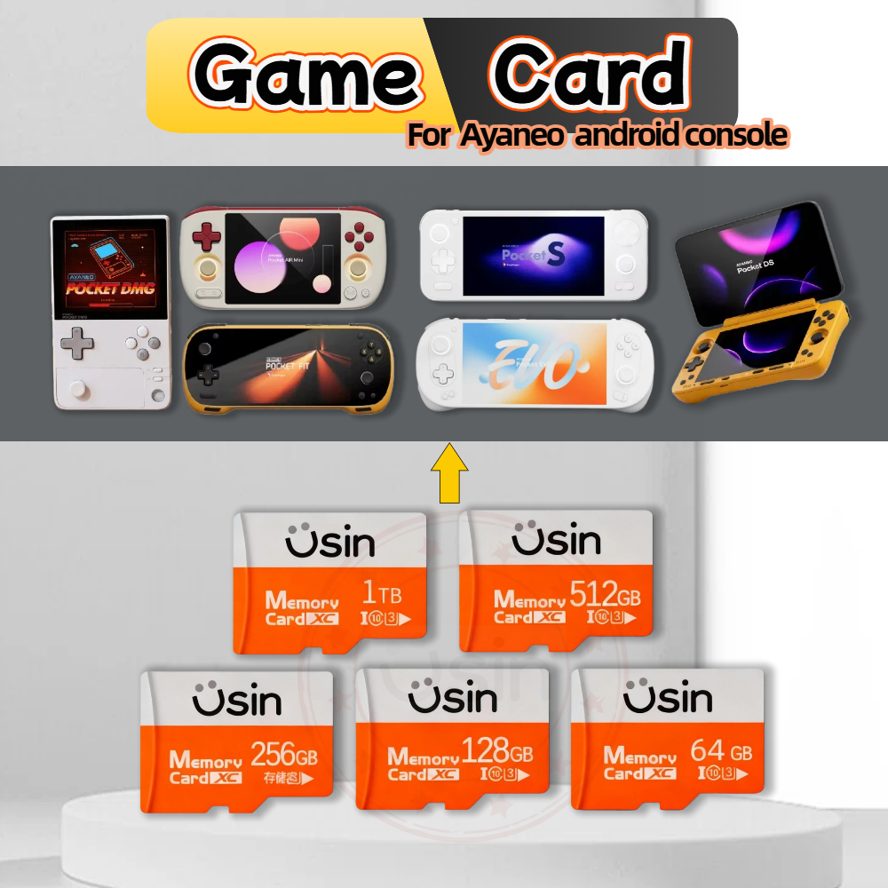 Game SD Card For Ayaneo Pocket - огляд і ціна Gaming Console Evo